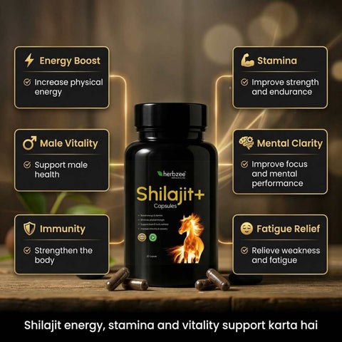 Shilajit+
