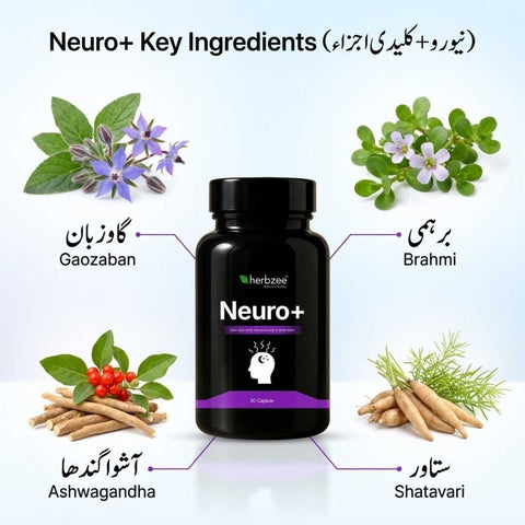 Neuro+